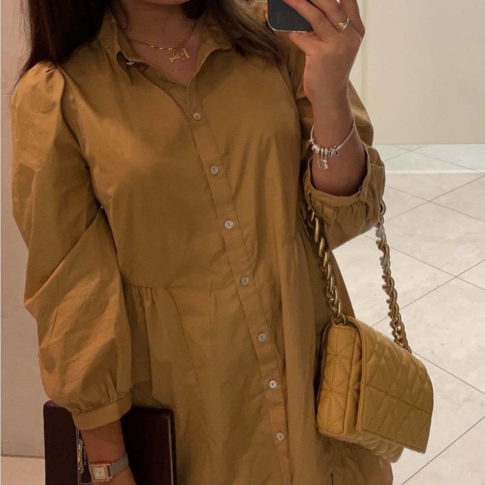 Zara Brown dress